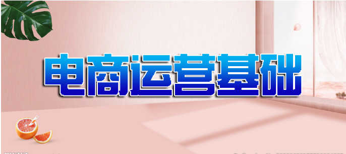 淘宝天猫电商运营百科全书 百度网盘 淘宝天猫电商运营